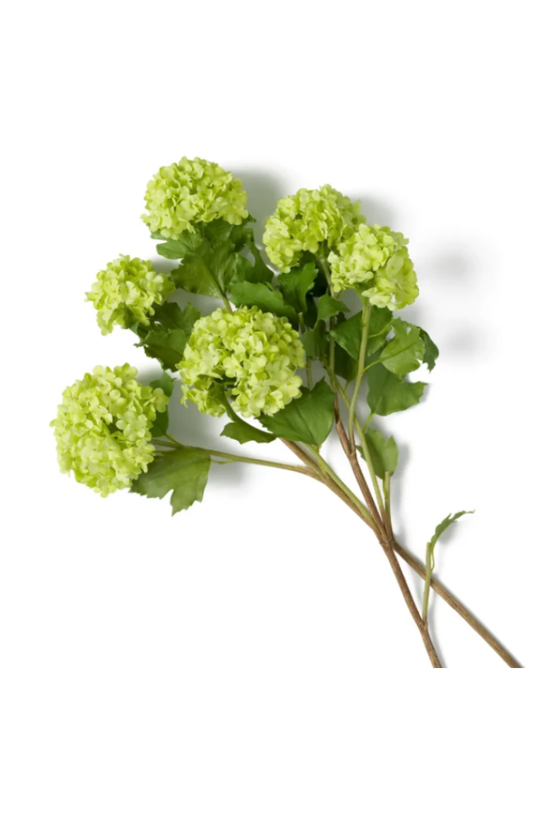 Hydrangeas Snowball Real Touch (price per stem)