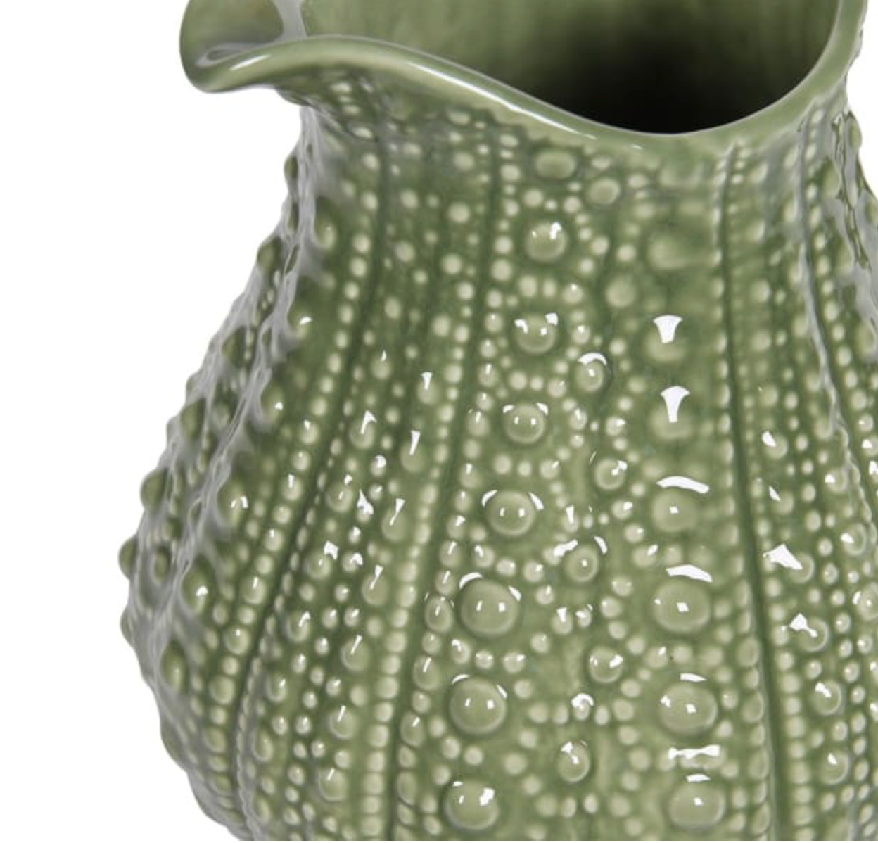 Large Sage Urchin Jug