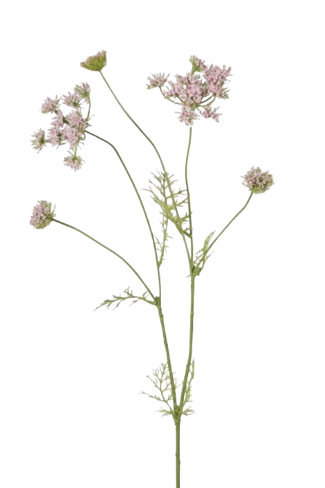 Blush Meadowsweet Spray