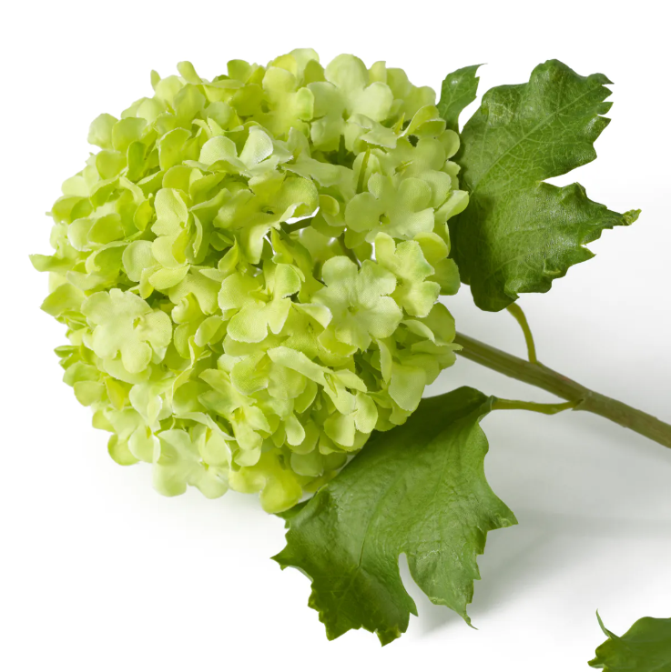 Hydrangeas Snowball Real Touch (price per stem)