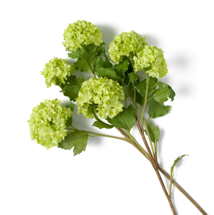 Hydrangeas Snowball Real Touch (price per stem)