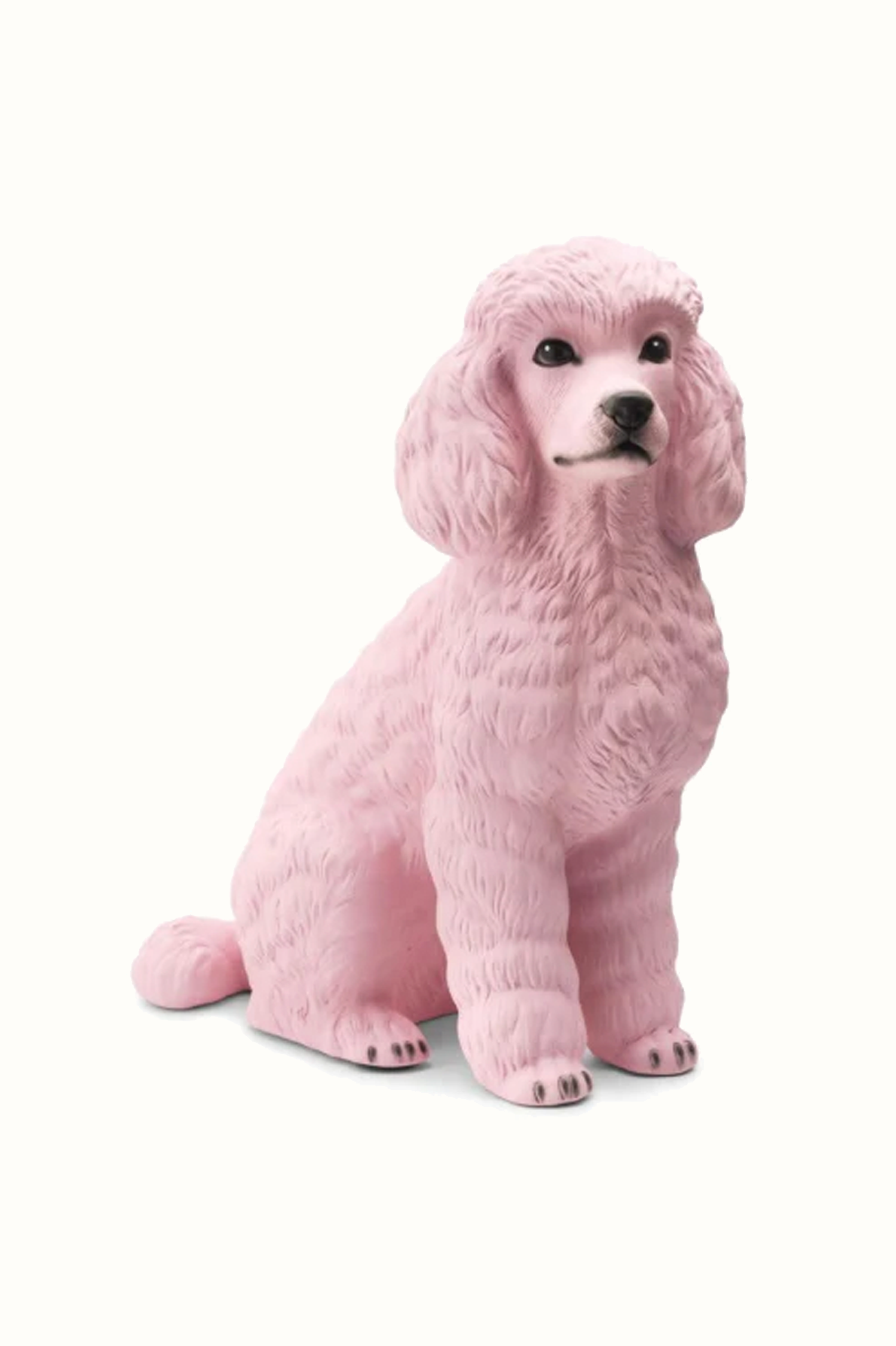 Pink Poodle