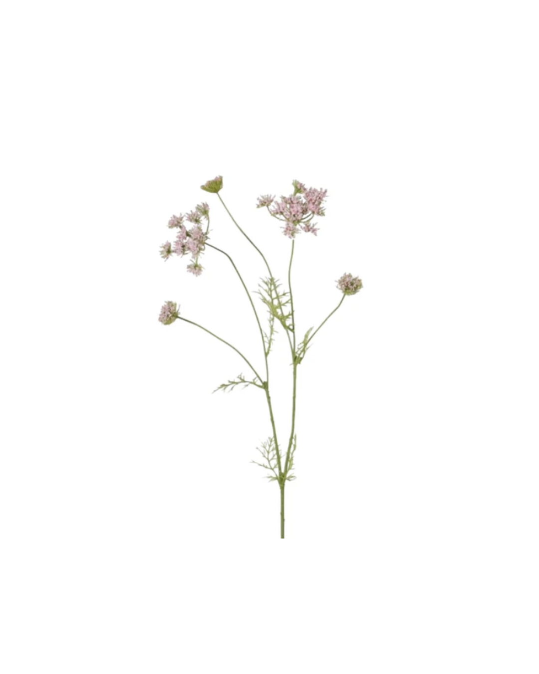 Blush Meadowsweet Spray