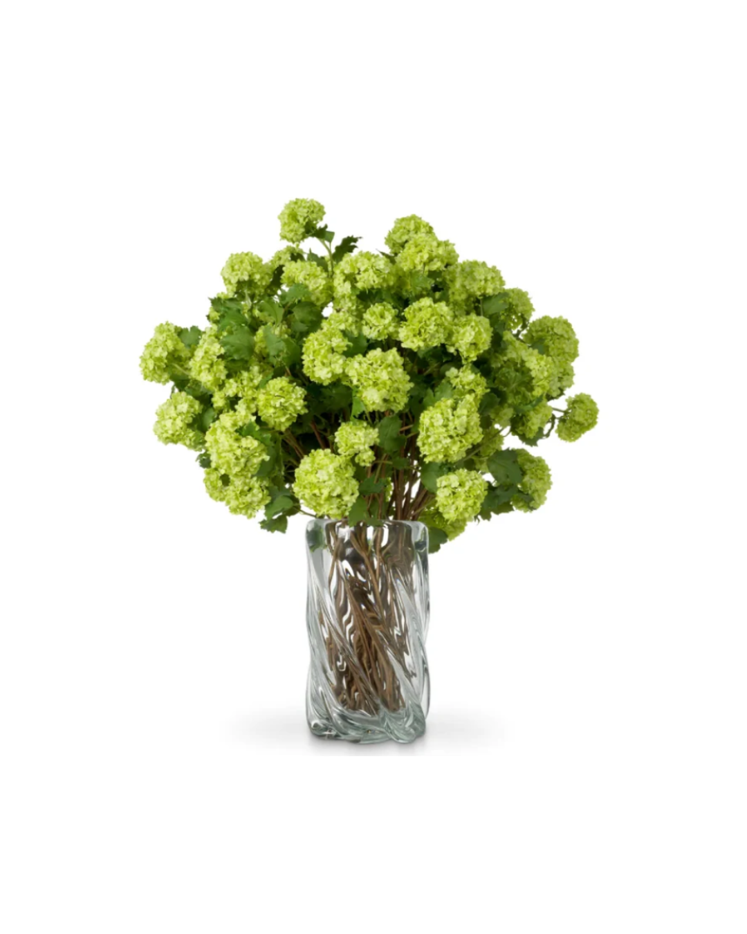 Hydrangeas Snowball Real Touch (price per stem)