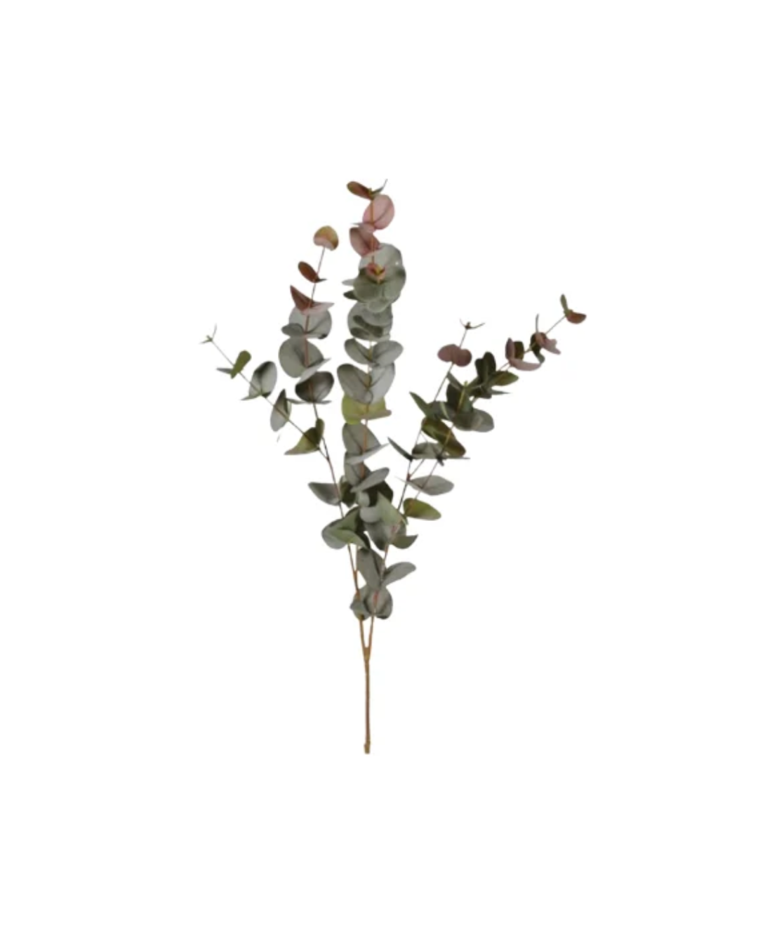 Large Natural Blush Eucalyptus Spray