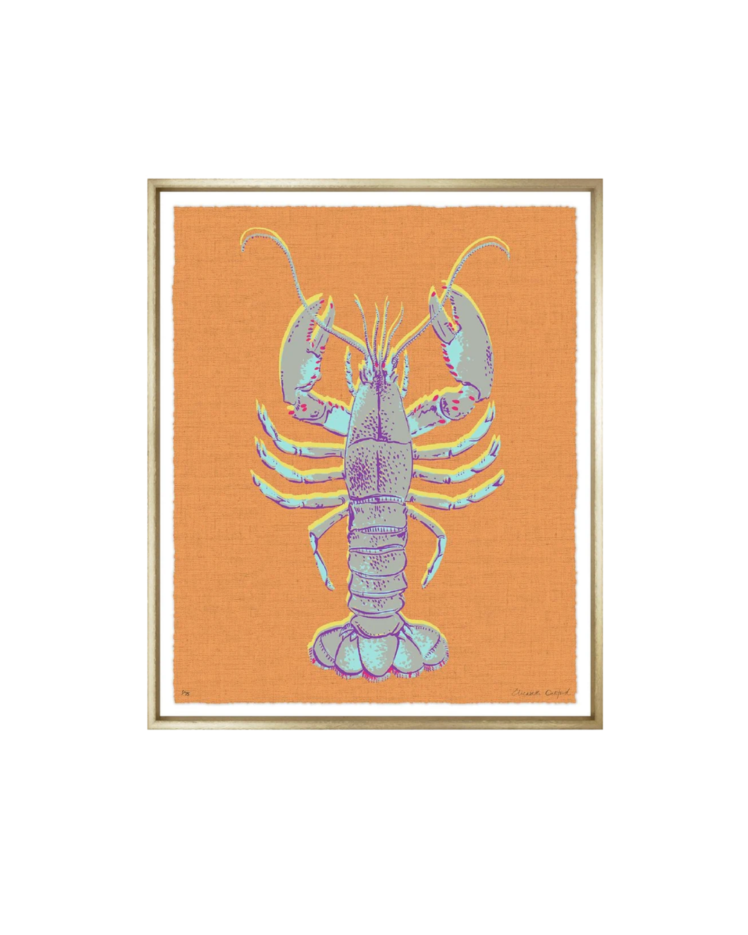 Lobster Print + More Colours