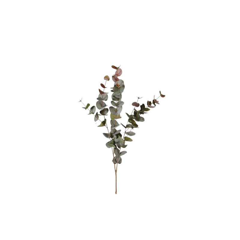 Large Natural Blush Eucalyptus Spray
