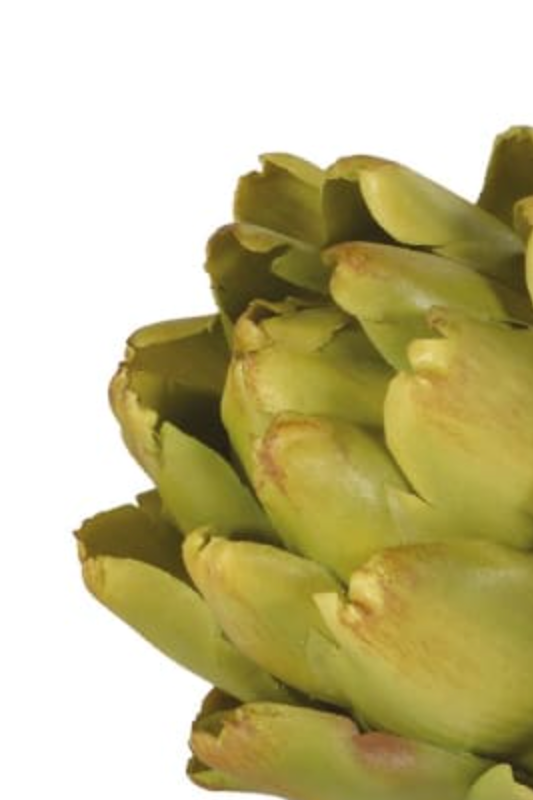 Decorative Artichoke