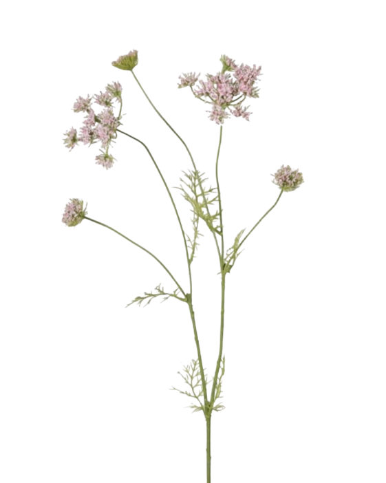 Blush Meadowsweet Spray