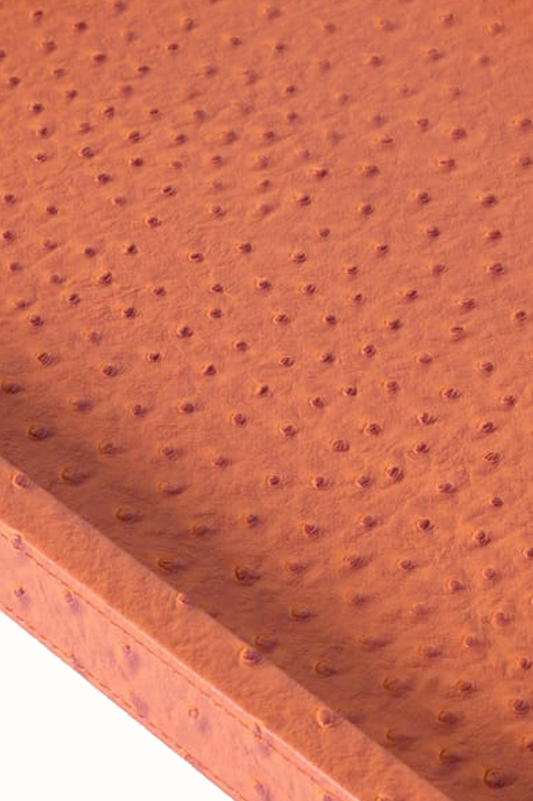 Burnt Orange Faux Leather Tray