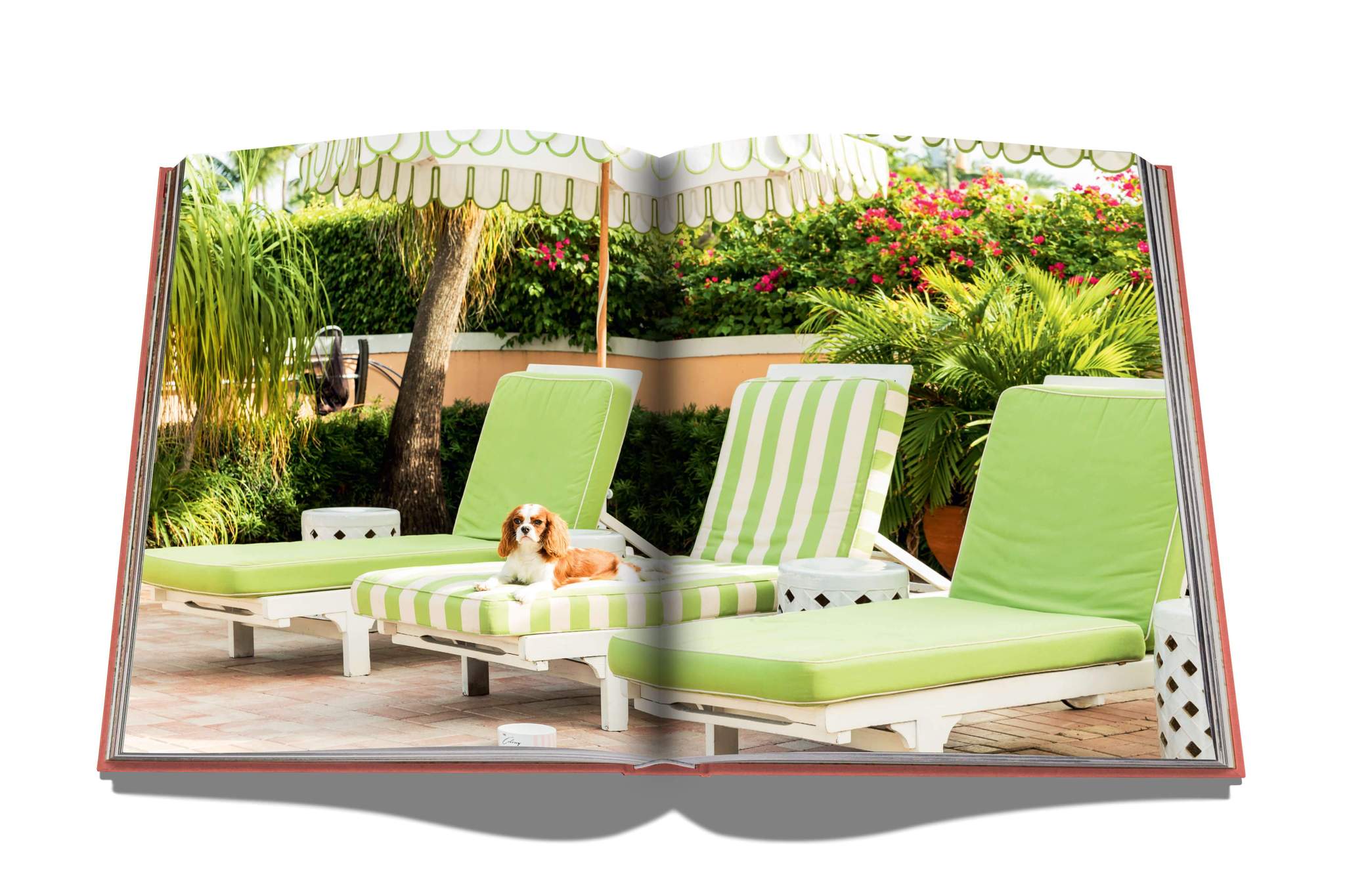 Coffee Table Book Palm Beach